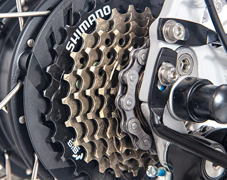 7-Speed Shimano Gearing – Ride Your Way