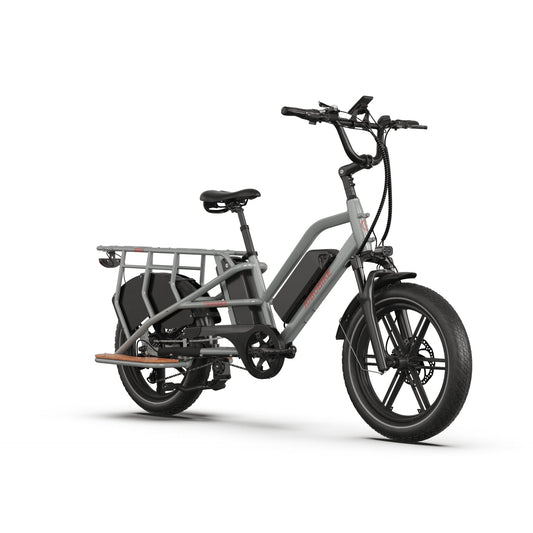 JOBOBIKE Transer
