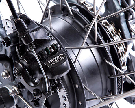 250W MOTOR