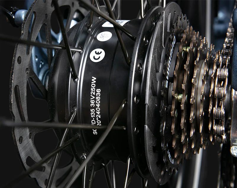 Brushless Motor