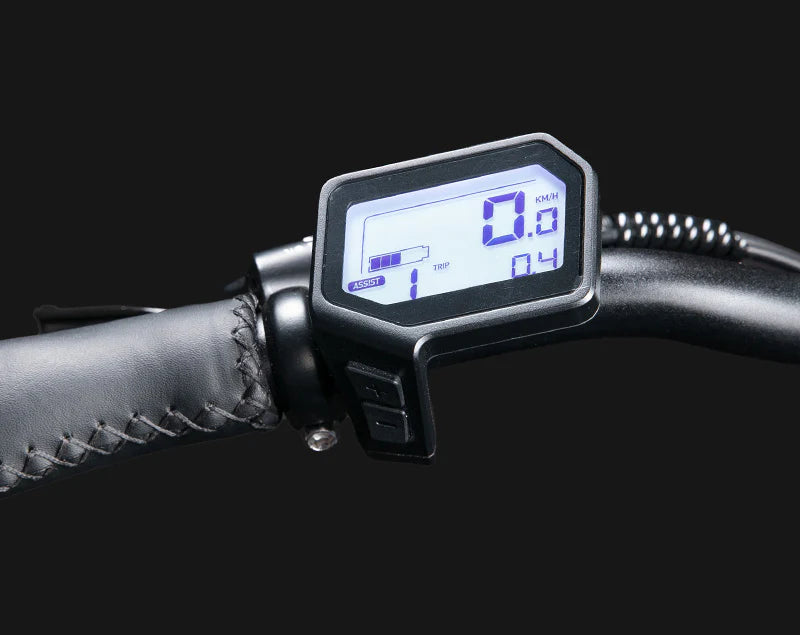 fischer e bike lcd 800 display JOBOBIKE ACE PRO – Built for Delivery Riders